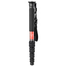 Sunwayfoto M3650C 5-Section Carbon Fiber Monopod