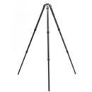 Benro Mammoth 3-Section Carbon Fiber Tripod