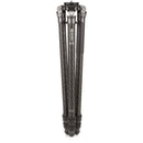 Benro Mammoth 3-Section Carbon Fiber Tripod