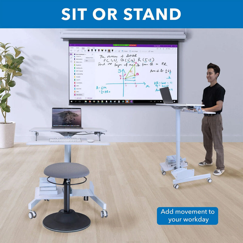 Mount-It! Mobile Sit-Stand Computer Workstation