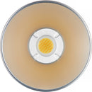 Godox ML60IIBi Bi-Color LED Monolight (AK-B02 Battery Handgrip Kit)