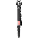 Sunwayfoto M3650C Carbon Fiber Monopod and DT-03 Head Kit