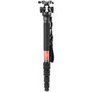Sunwayfoto M3650C Carbon Fiber Monopod and DT-03R Head Kit