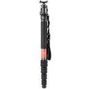 Sunwayfoto M3650C Carbon Fiber Monopod with EB-36 Ball Head