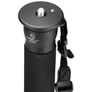 Sunwayfoto M3650C Carbon Fiber Monopod with DDY-58 Discal Arca-Type Clamp