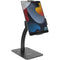 Mount-It! Anti-Theft Tablet Countertop Kiosk Stand