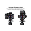 Sunwayfoto LS-63 Ring Lens Support with Arca-Type Collar