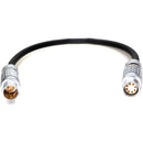 DigitalFoto Solution Limited 2B 3-Pin to 8-Pin LEMO-Type Power Cable for ARRI S35 (23.6")