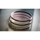 Simmod Aria Pearl Filter (77mm, Grade 1/2)