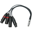 OVIDE Audio I/O 3-Pin XLR Breakout Cable for Koko Monitor (7.9")