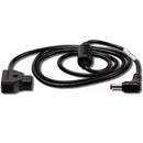Tilta D-Tap to 5.5 x 2.1mm Barrel DC Male Cable (43.5")