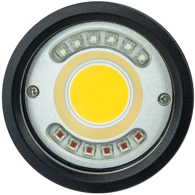 Scubalamp P33 Compact Focus Light (Black)