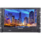 ANDYCINE C173S3 17.3" Rackmount Broadcast LCD Monitor