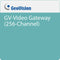 GEOVISION GV-Video Gateway (256-Channel)