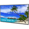 Peerless-AV Neptune Full Sun 65" 4K HDR Smart LED Outdoor TV