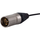 Schoeps TM RS 420 L38 16.5" Table Tube with Two Gooseneck Elements