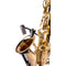 Schoeps Saxophone Microphone Kit