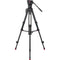 Sachtler 75/2 Mark II Aluminum Tripod System with Ace M Head & Mid-Level Spreader