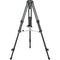 Sachtler 75/2 Mark II Carbon Fiber Tripod (75mm)