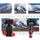 iFootage MP30 Panoramic Ball Head