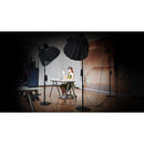 iFootage Cobra 2 Round Base Monopod