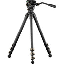 Tilta 75mm Cine Fluid Head with 3-Stage Carbon Fiber Tripod Legs (17.6 lb Load, Space Gray)
