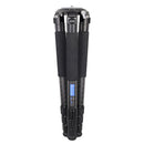 ARTCISE AS90C Carbon Fiber Tripod with BL75N Bowl Adapter (75mm Bowl)