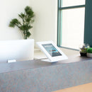 Mount-It! Anti-Theft Apple iPad Countertop Stand and Wall Mount (White)
