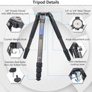 ARTCISE AS95C+MA Carbon Fiber Tripod with 75mm Bowl, Magic Arm, and Smartphone Holder