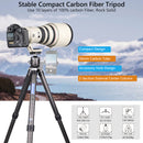 ARTCISE CS85C Carbon Fiber Tripod with LB52 Ball Head