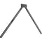 DVDO TV Mount for C6 All-in-One Camera (Black)