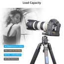 ARTCISE LB36 Low-Profile Ball Head