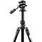 3 Legged Thing Punks 2.0 Patti Video Darkness Tripod System (Matte Black)