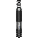 INNOREL GT284C Carbon Fiber Travel Tripod with N36 Ball Head