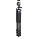 INNOREL HT284C Carbon Fiber Tripod with N44 Low-Profile Ball Head