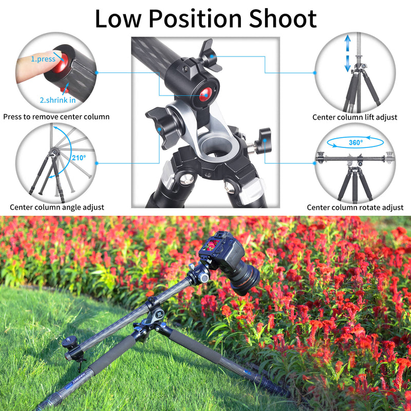 INNOREL HT284C Carbon Fiber Tripod with N44 Low-Profile Ball Head
