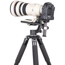 INNOREL LBK250A Arca-Type Telephoto Lens Bracket (9.8")