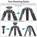 INNOREL RT80C Carbon Fiber Tripod with 75mm Bowl Adapter
