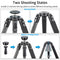INNOREL RT80C Carbon Fiber Tripod with 75mm Bowl Adapter