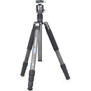INNOREL RT85C+N44 Carbon Fiber Tripod with Ball Head (Black)