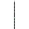 APC NetShelter Rack Power Distribution Unit (Black)