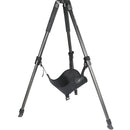 Vanguard Alta Tripod Stone Bag (Large)