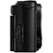 Panasonic Lumix S9 Mirrorless Camera (Black)