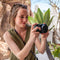 Panasonic Lumix S 26mm f/8 Lens (L-Mount)