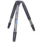 INNOREL NT364C Carbon Fiber Tripod with BL75N 75mm Bowl Adapter