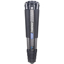 INNOREL NT364C Carbon Fiber Tripod with BL75N 75mm Bowl Adapter