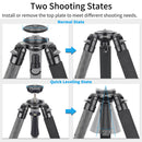 INNOREL NT364C Carbon Fiber Tripod with BL75N 75mm Bowl Adapter