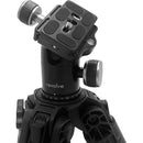 revolve Axis HD Ball Head with Arca-Type Quick Release
