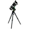 Sky-Watcher Wave 100i GoTo Strain Wave Mount (22 lb Payload)