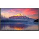 Newline TT-7523C 75" UHD 4K Touch Screen Commercial Monitor